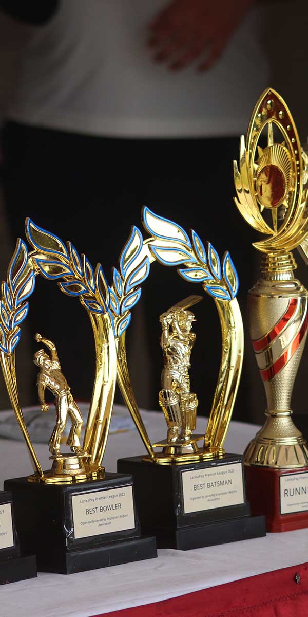 Annual Cricket Match - 2023